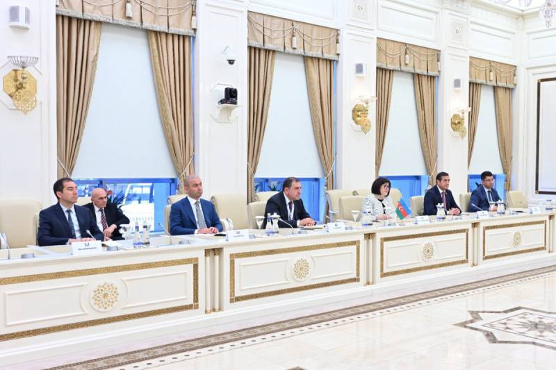 Sahibə Qafarov XİN başçısı ilə görüşdü