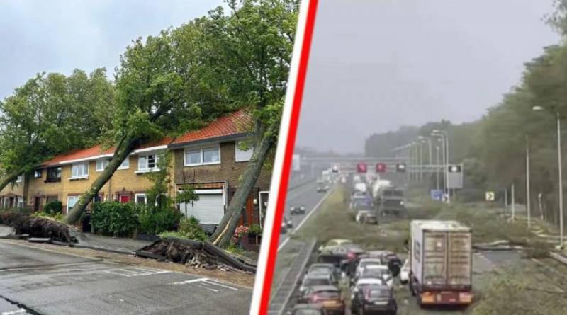 Dəhşətli fırtına ağacları kökündən çıxardı - VİDEO