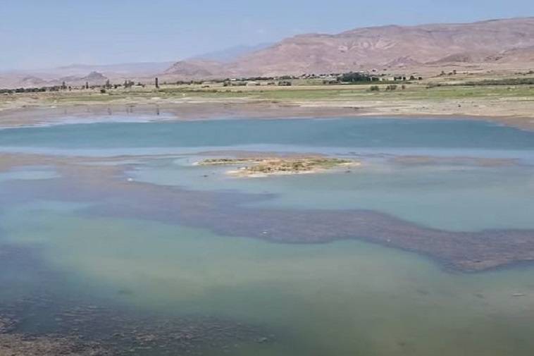 Sirab su anbarının içində taxıl əkilib - VİDEO