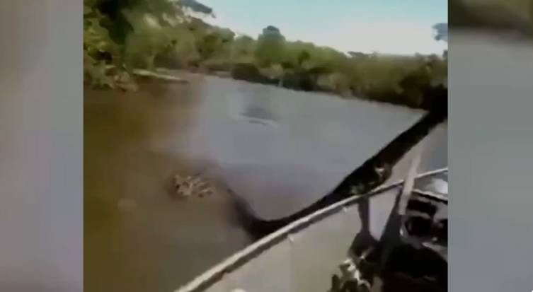 Balıqçı nəhəng anakondanı yaxaladı - Gündəm oldu (VİDEO)