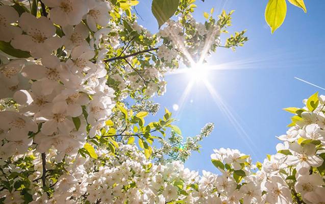 İstirahət gününün havası AÇIQLANDI