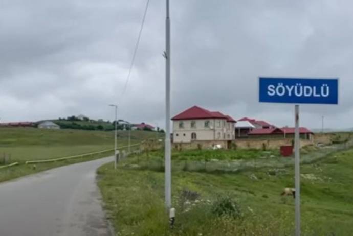 Söyüdlü ilə bağlı təkliflər HAZIRLANDI