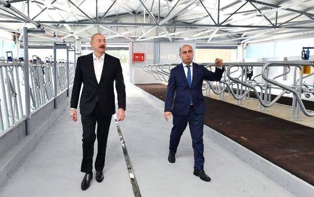 Prezident Cəlilabada getdi - FOTOLAR