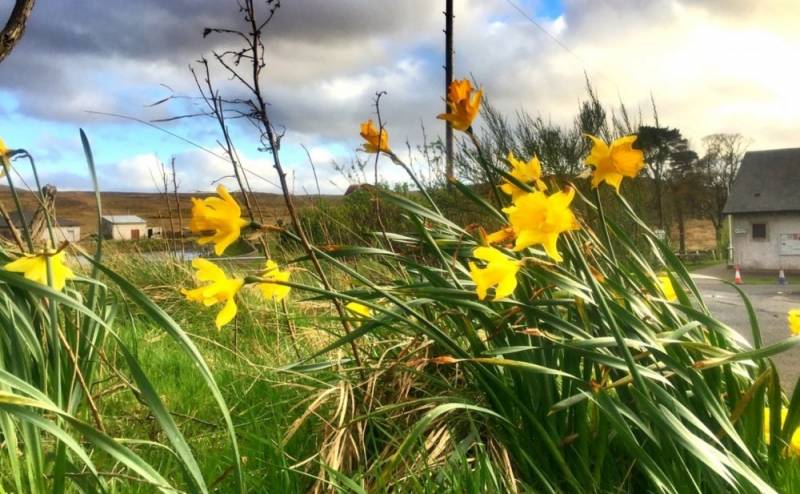 İstirahət gününün havası ilə bağlı - XƏBƏRDARLIQ