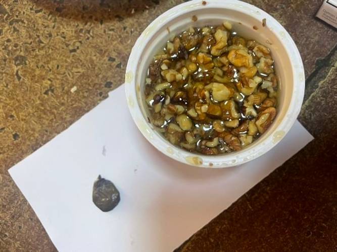 Ana həbsdəki oğluna narkotik keçirmək istədi