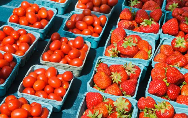 Pomidor və çiyələklərin Rusiyadan geri qaytarılmasının səbəbi AÇIQLANDI