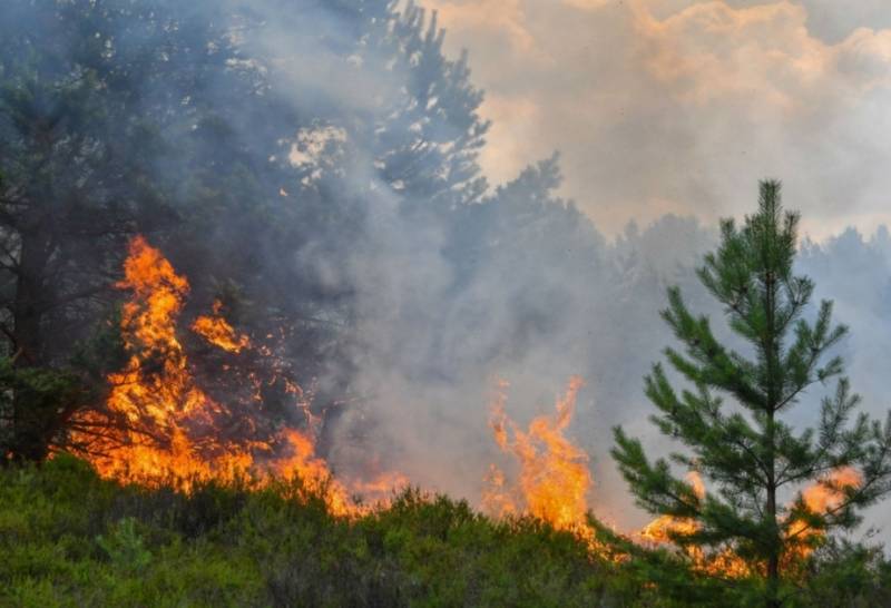 Bölgələrdə yanğın indeksi yüksəkdir