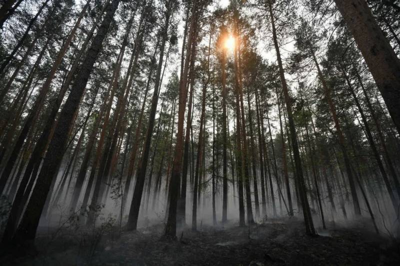Bakıda \"Şamlıq\"da QAN TÖKÜLDÜ