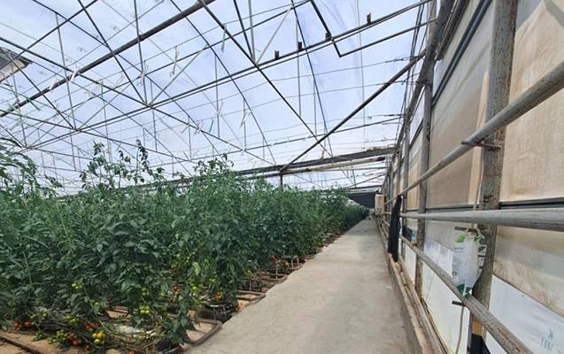 İstixanada nöqsanlar aşkarlandı - FOTOLAR