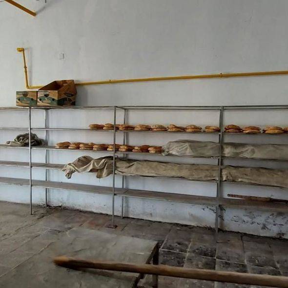 Qazaxda çörək istehsalı müəssisəsində nöqsanlar aşkarlanıb - FOTOLAR