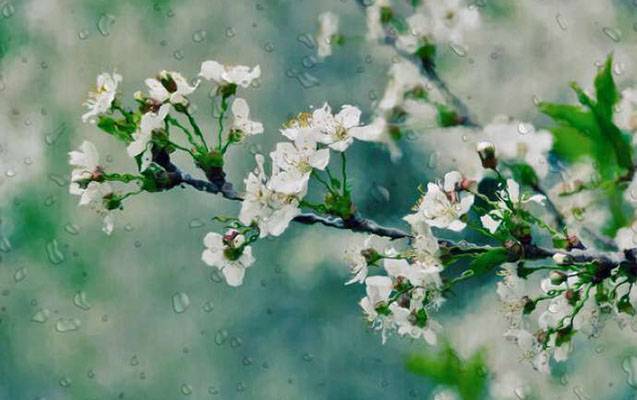 Sabahın hava PROQNOZU