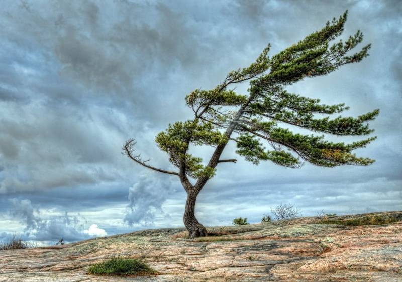 Hava ilə bağlı XƏBƏRDARLIQ - Bu tarixədək....