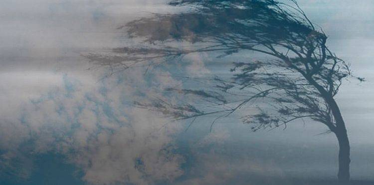 Güclü külək və intensiv yağışlar Yevlaxda bir sıra fəsadlar törədib - VİDEO