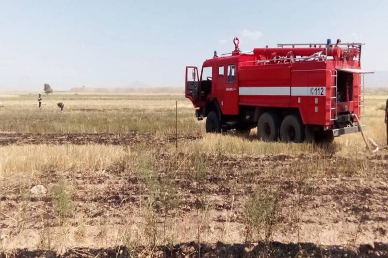 Naxçıvanda taxıl zəmisi YANDI