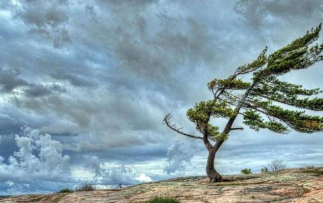 Bu rayonda külək saniyədə 28 metrədək güclənib - FAKTİKİ HAVA