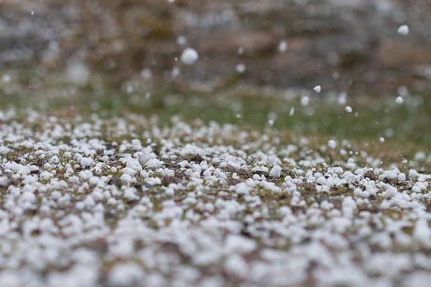 Dolunun yaratdığı fəsadlar - Taxılın qiyməti artacaq?