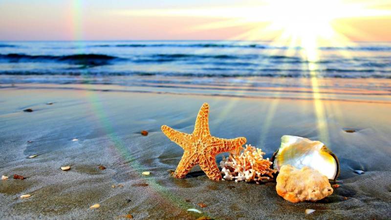 Sabah Azərbaycanda yay fəsli başlayacaq