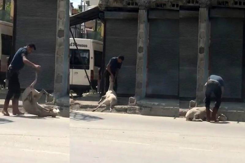 Qəssabdan ağlasığmaz hərəkət