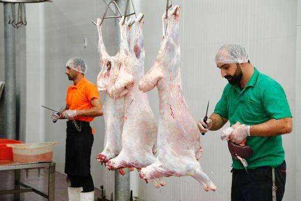 138 ünvanda qurbanlıq heyvanların satışı və kəsimi xidmətləri təşkil edilib - FOTOLAR