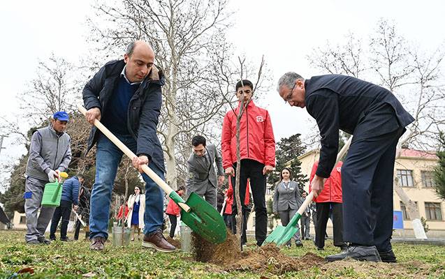 Nazirlər ağac əkdilər - FOTO