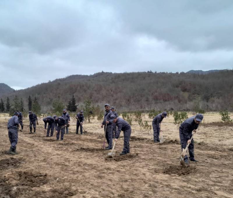 Yel çərşənbəsində  20 min  ağac əkilib - FOTO