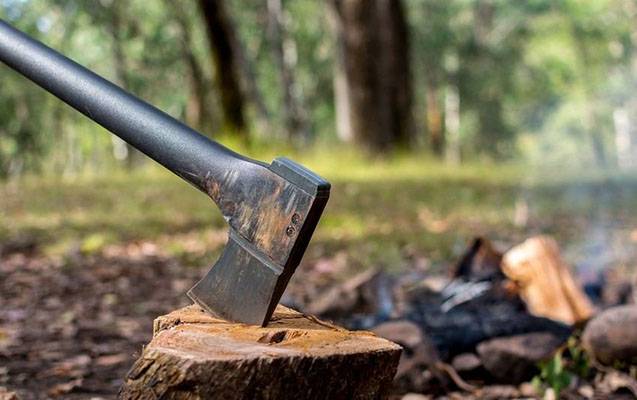 Qanunsuz ağac kəsənlər cəzalandırıldı