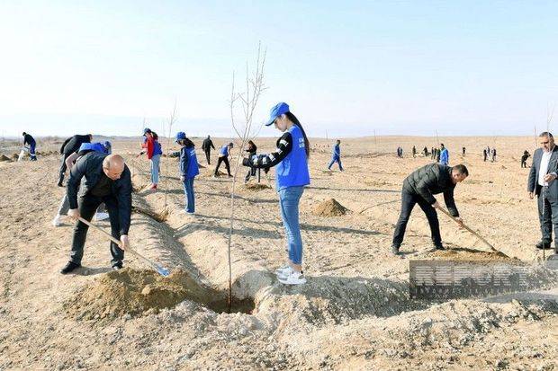 Naxçıvanda Heydər Əliyevin 100 illiyinə həsr olunmuş ağacəkmə aksiyası keçirilib - FOTO