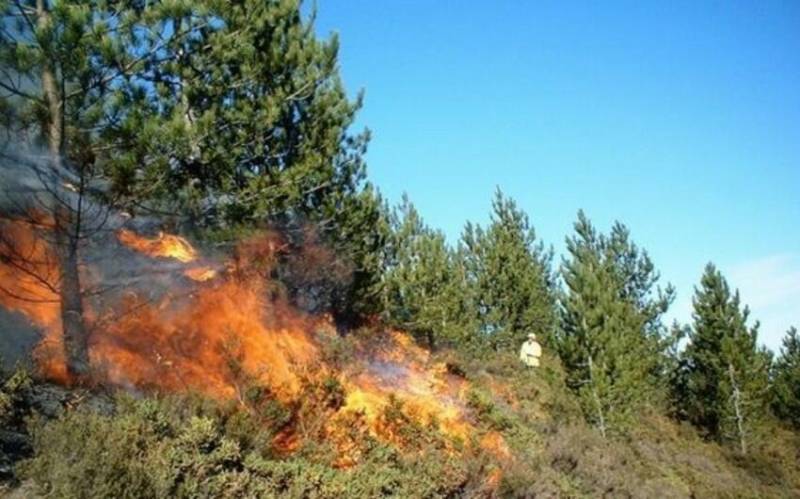 Qəbələdə meşədə baş vermiş yanğın söndürüldü