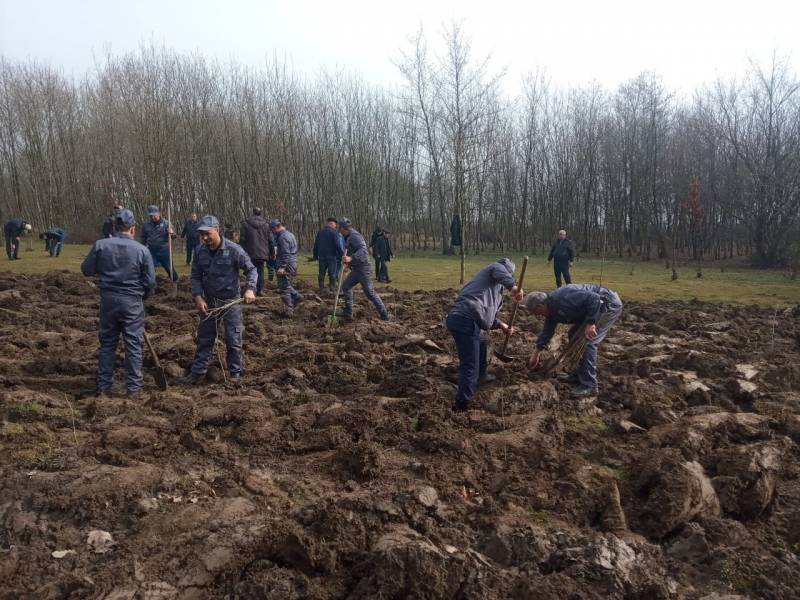 Torpaq çərşənbəsində 23 mindən çox ağac əkilib - FOTOLAR