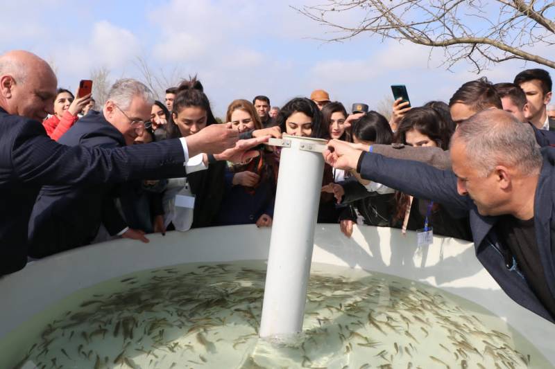 Kiçik Qızılağac körfəzinə balıq körpələri buraxıldı - FOTOLAR