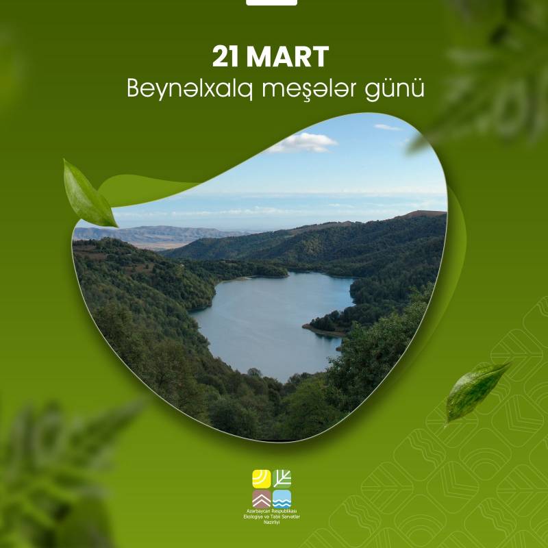 21 mart  “Beynəlxalq Meşələr Günü”dür 