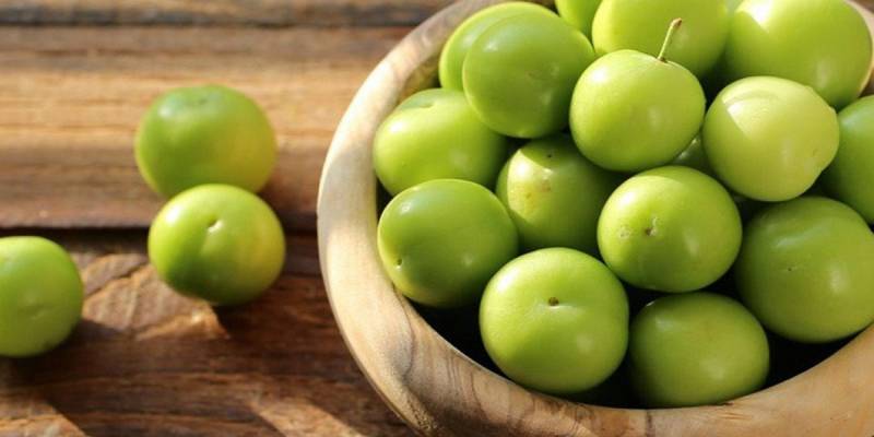 Alça yenə GÜNDƏM OLDU – Kilosu 195 MANAT