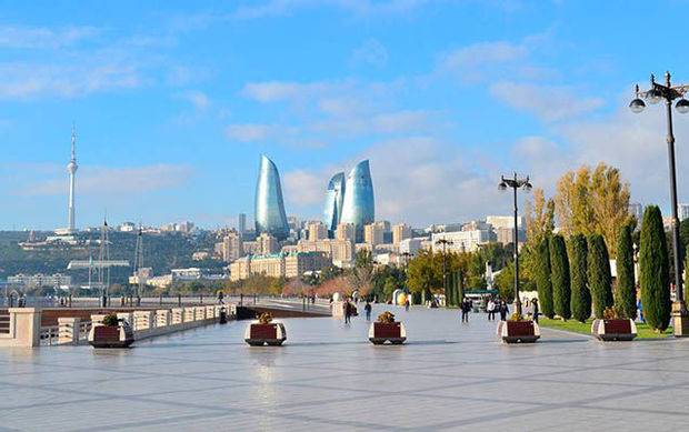 Bakının mərkəzində yırtıcı canlı: Sakinlər təlaş içində ... - FOTO