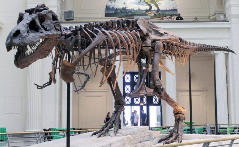 70 milyon illik nadir dinozavr skeleti rekord qiymətə satılacaq