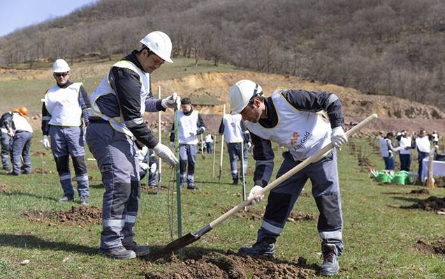 “Ağyoxuş-1” qızıl yatağı yaxınlığında ağacəkmə aksiyası keçirildi - FOTO