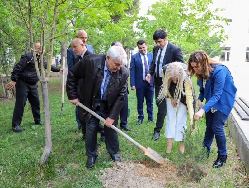 ADU-da ağacəkmə aksiyası keçirilib - FOTO