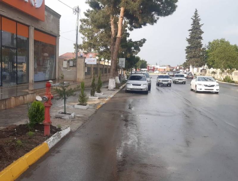 Cəlilabadda bir neçə ağacın qanunsuz kəsildiyi müəyyən olundu