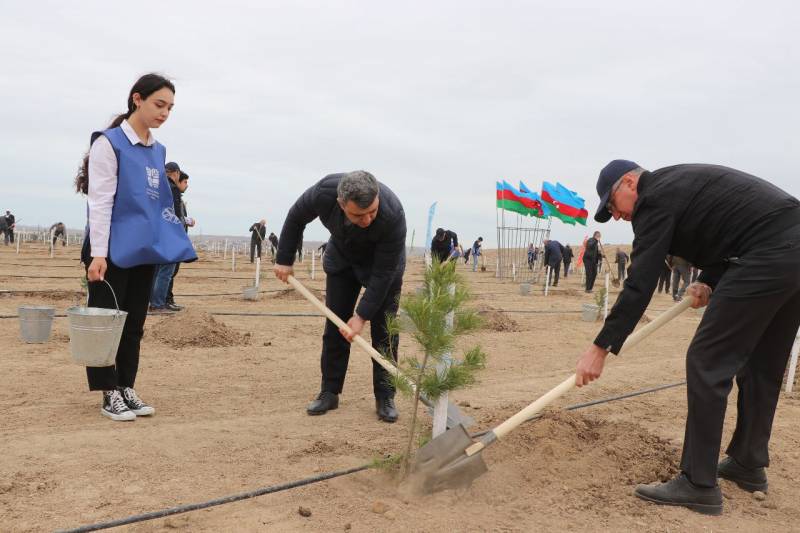 Heydər Əliyevin 100 illik yubileyi ilə bağlı ağacəkmə tədbirləri davam edir - FOTOLAR