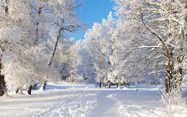 Bu rayona qar yağıb - FAKTİKİ HAVA