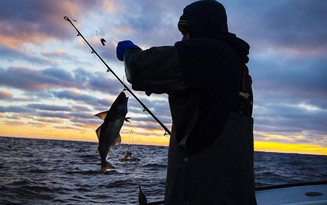 Qanunsuz balıq ovlayanlar cəzalandırıldı