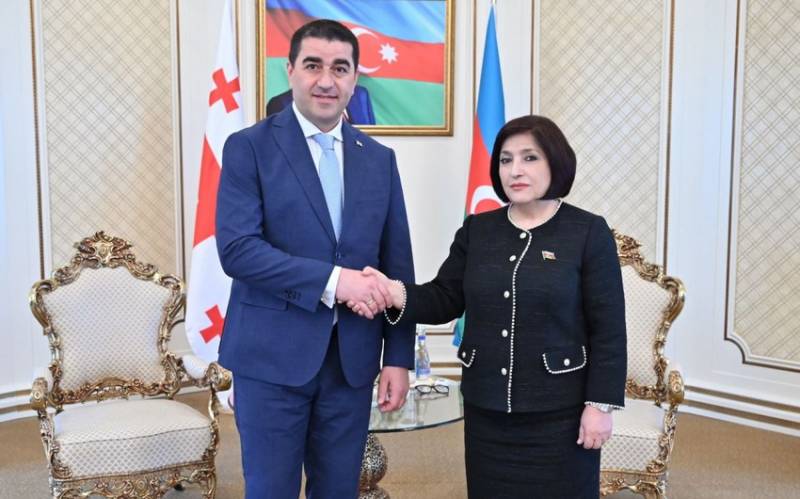 Sahibə Qafarova Şalva Papuaşvili ilə görüşdü