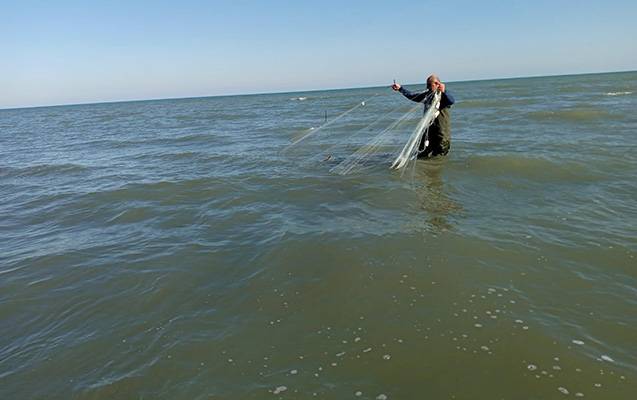 Qanunsuz balıq ovlayan şəxs SAXLANILDI