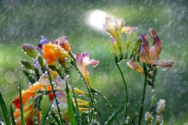 Sabah hava necə olacaq? 