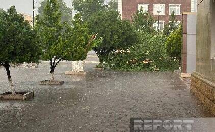 Naxçıvana güclü leysan yağdı, dolu düşdü