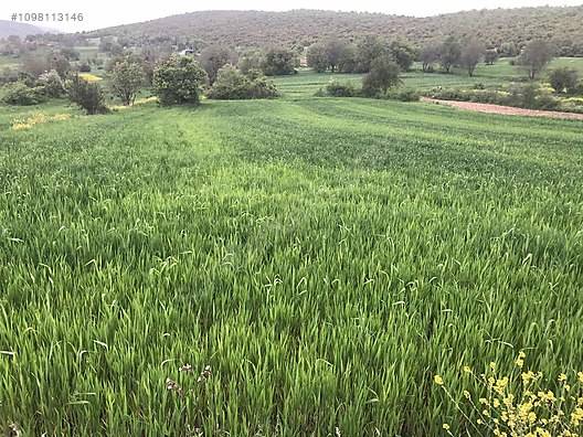 Fermerlər arasında qarşıdurma baş verdi - 18 nəfər öldü