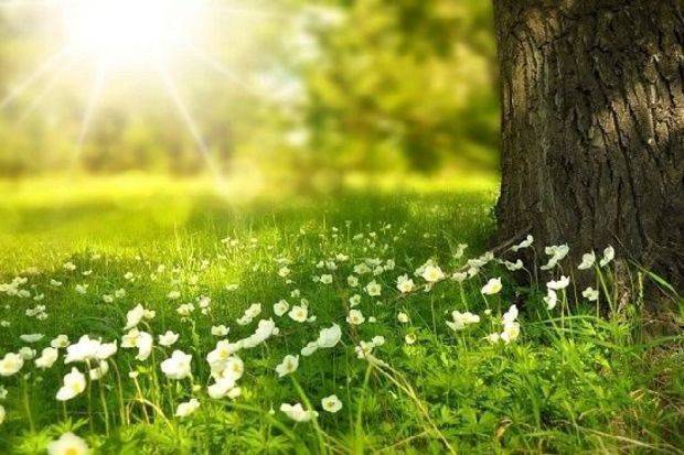 Sabahın hava PROQNOZU