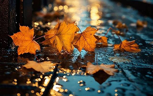 Sabah yağış yağacaq - PROQNOZ