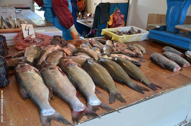 Balıq bazarında nə baş verir? SON QİYMƏTLƏR - VİDEO