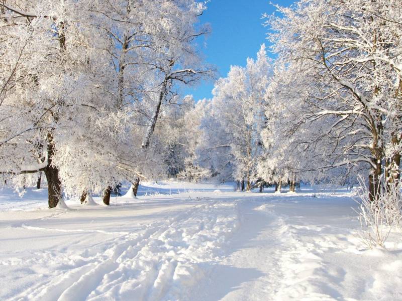 Sabah Azərbaycanın bu ərazilərinə qar yağacaq - PROQNOZ