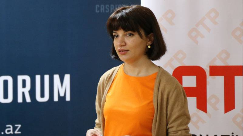 Sevinc Vaqifqızının ittiham olunduğu maddə AÇIQLANDI